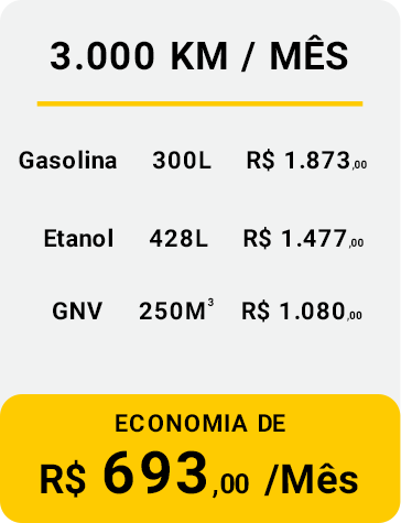 Economia de Combustivel para 3000 KM